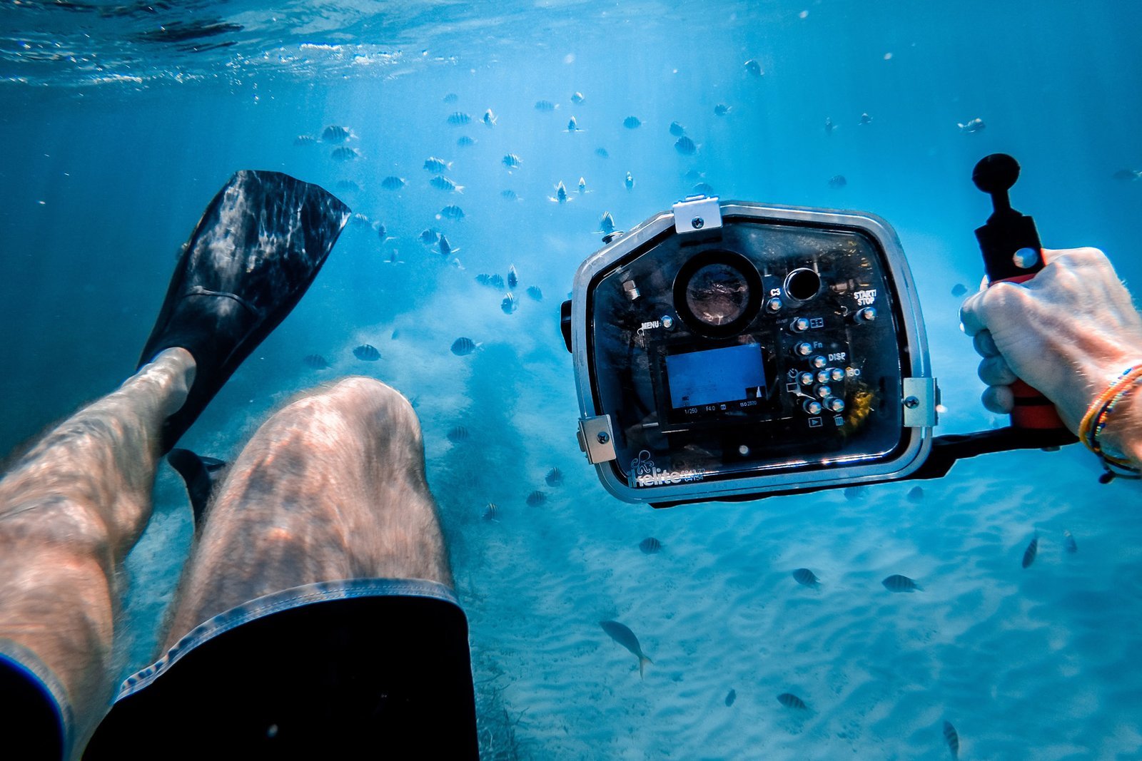 Underwater Photo